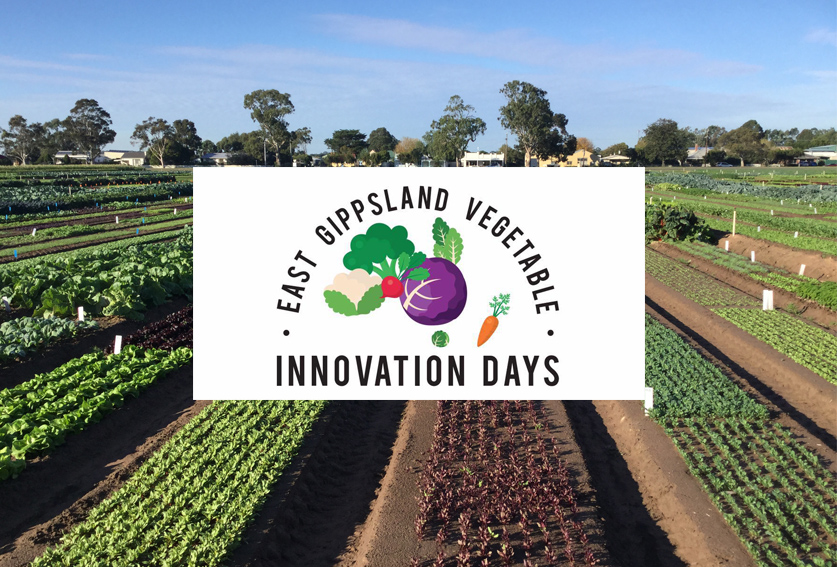Tune into the East Gippsland Vegetable Innovation Days!