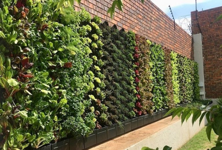 Green Walls bridge gap between urban cities and nature AUSVEG