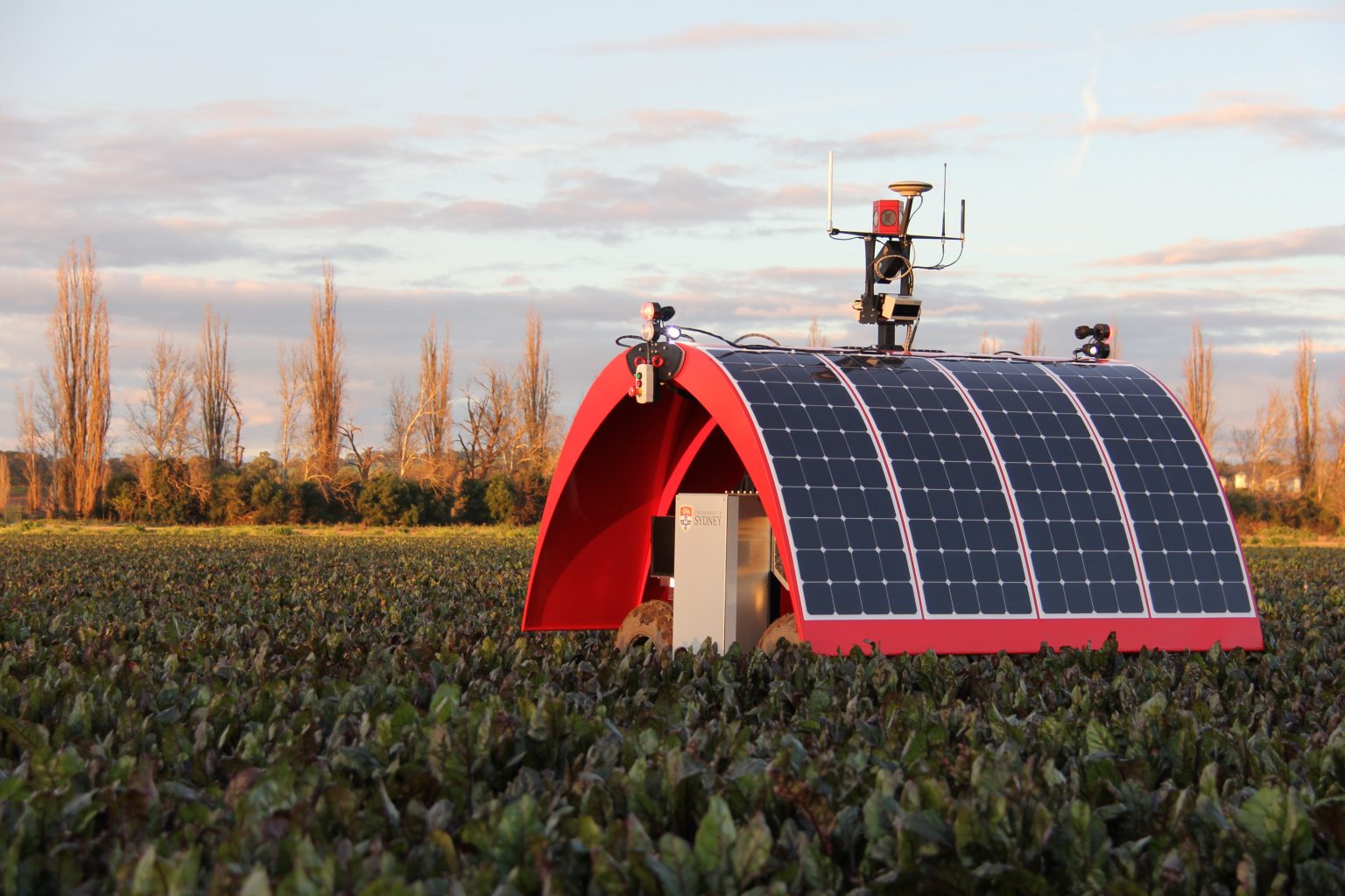 Advancing robotics in the Australian vegetable industry | AUSVEG