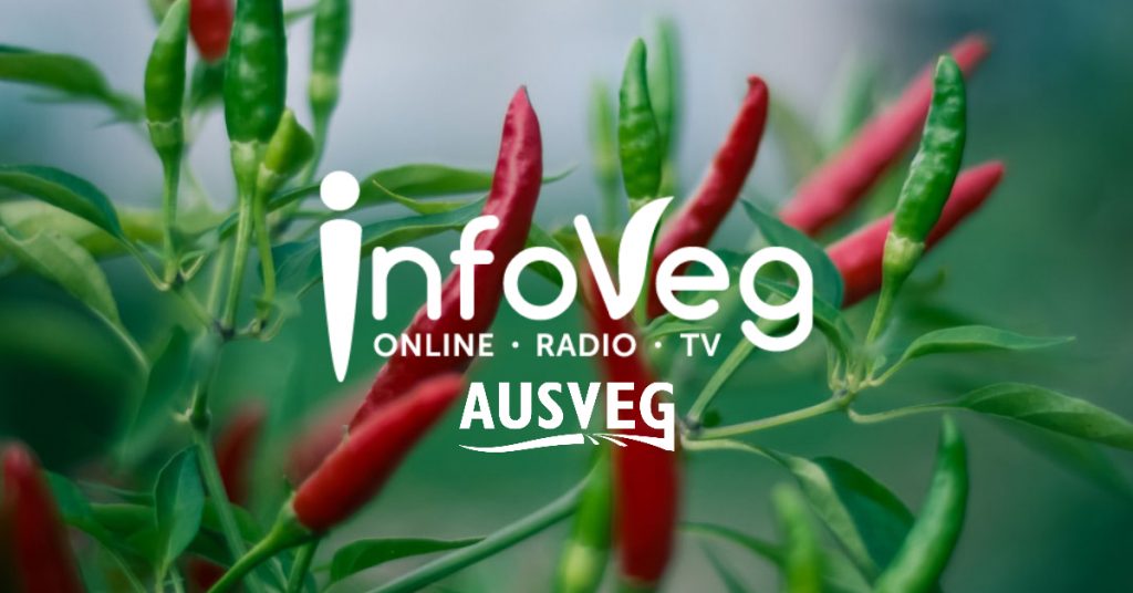InfoVeg Radio: Precision agriculture in veg production