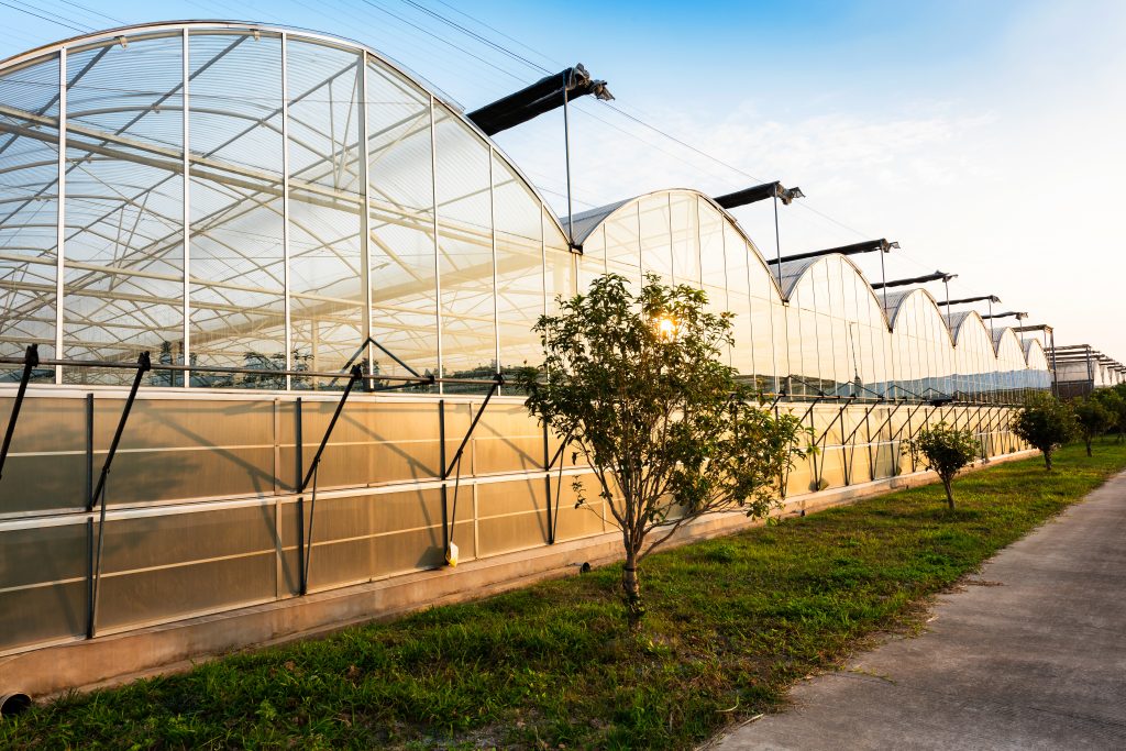Focus on greenhouse construction and safe operation