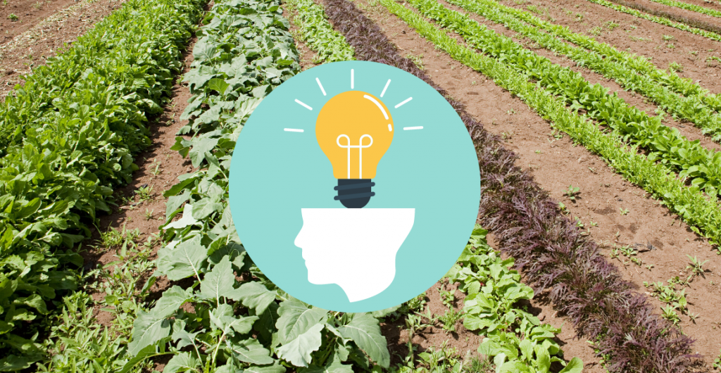 Vegetable Crop Nutrition Masterclass 2020