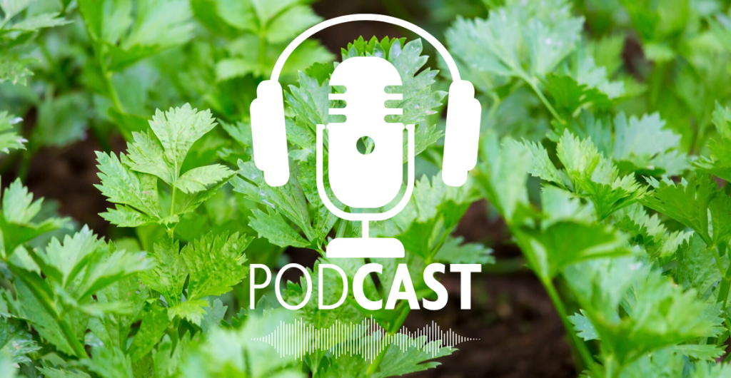 Podcast: An introduction to soil biology and biological products