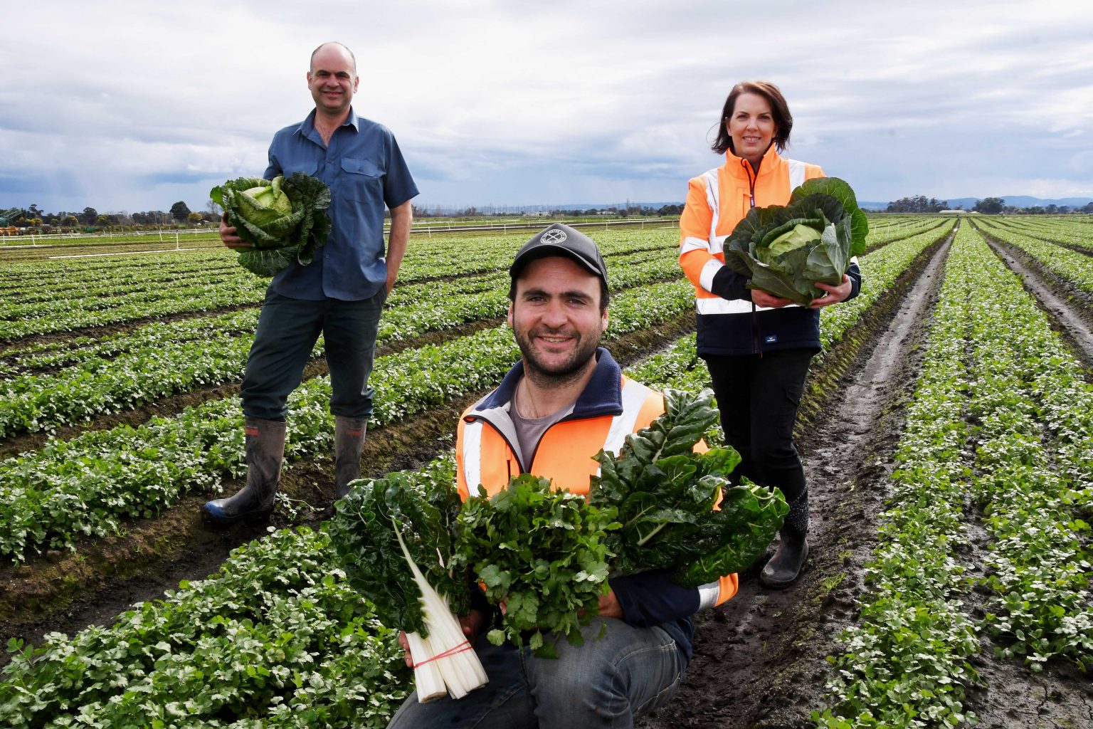 Fresh produce growers receive Coles grants to innovate and grow AUSVEG