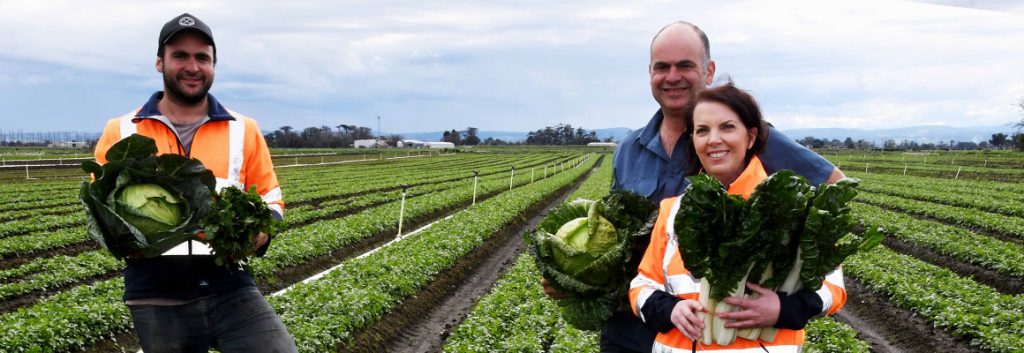 Fresh produce growers receive Coles grants to innovate and grow 