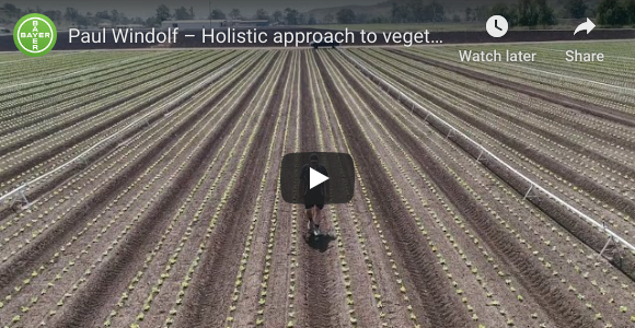 Paul Windolf: Holistic approach to vegetable production