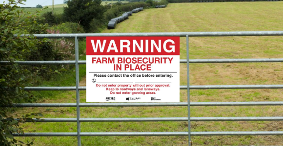 AUSVEG offering support to develop farm biosecurity plans