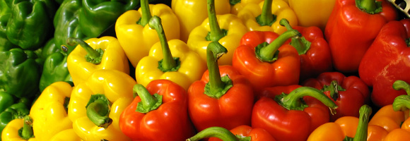 Webinar recording: Grower success story with Andrew Braham, SA capsicum grower