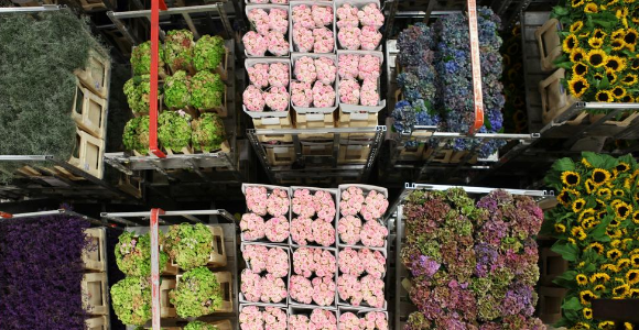 Country of Origin Labelling: Seafood and flowers