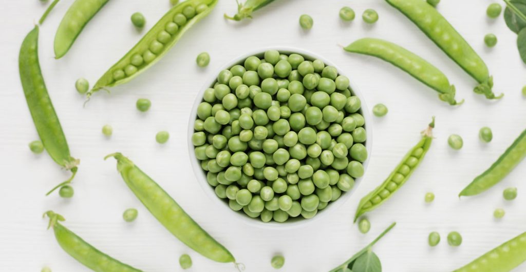Latest Harvest to Home comprehensive review: Peas