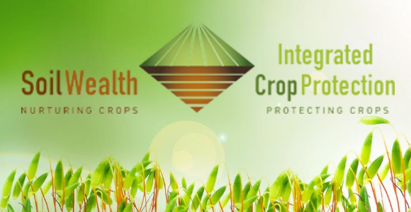 Keep connected to Soil Wealth ICP project updates