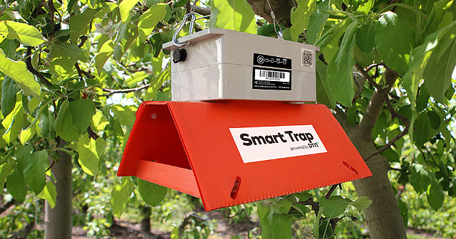 Introducing a new in-field trapping tool for veg growers