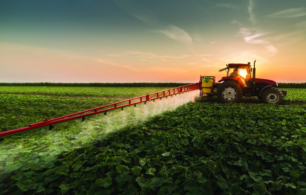 Webinar recording: Managing pesticide resistance in the vegetable industry