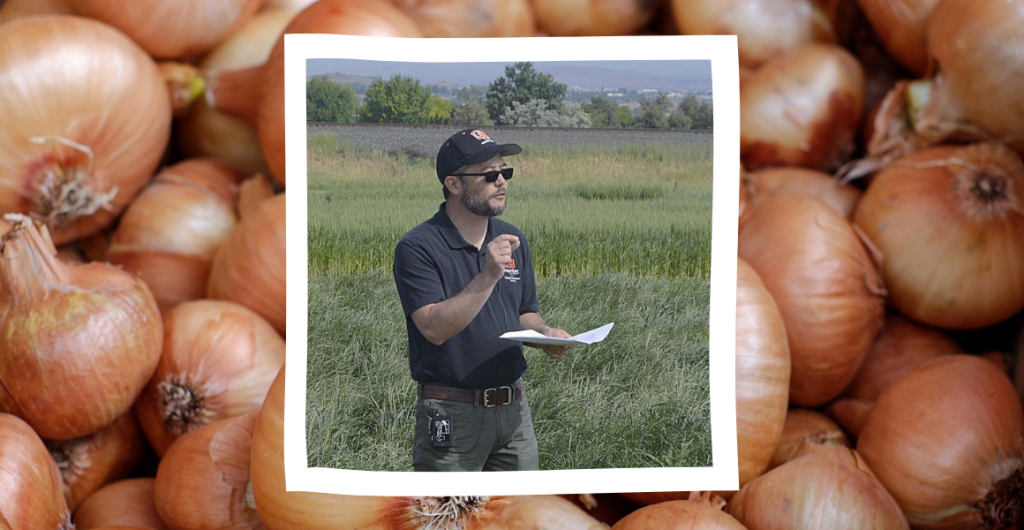 Upcoming webinar: White rot in onions