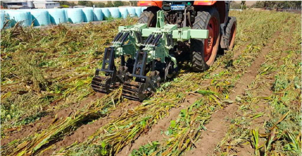 Case study: Benefits of a cover crop + strip till combination