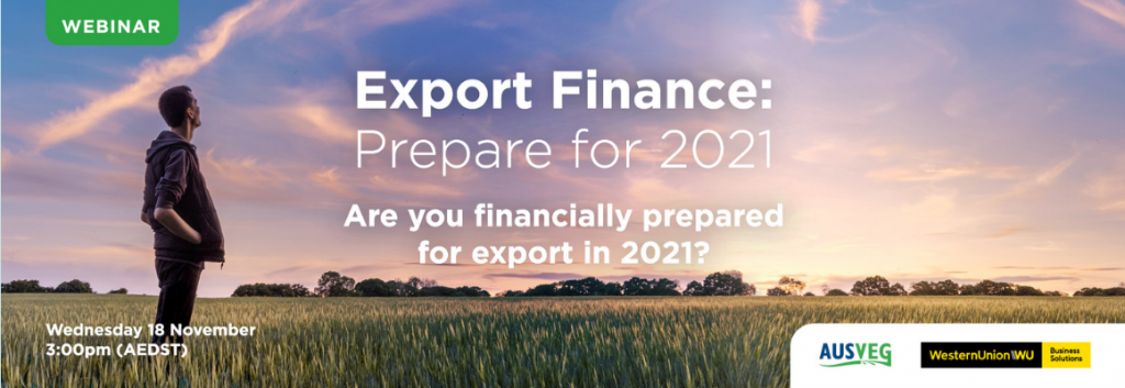 Webinar recording: Export finance – prepare for 2021
