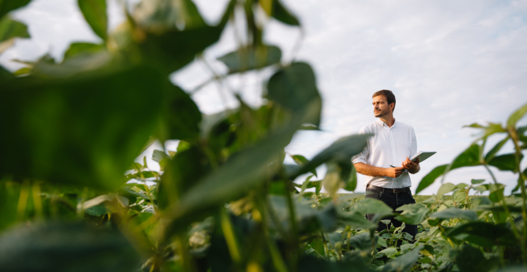 AUSVEG joins Smart Farming Partnership project