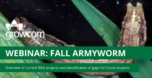 Fall armyworm R&D information webinar