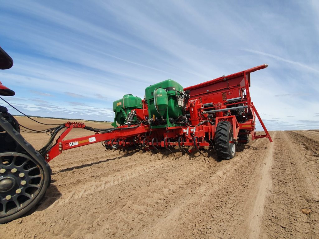 Efficiency the key to new planting style