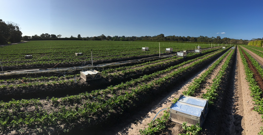 inar Compost calculator to highlight value of organic soil