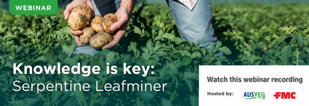 AUSVEG & FMC’s serpentine leafminer webinar now available to view online
