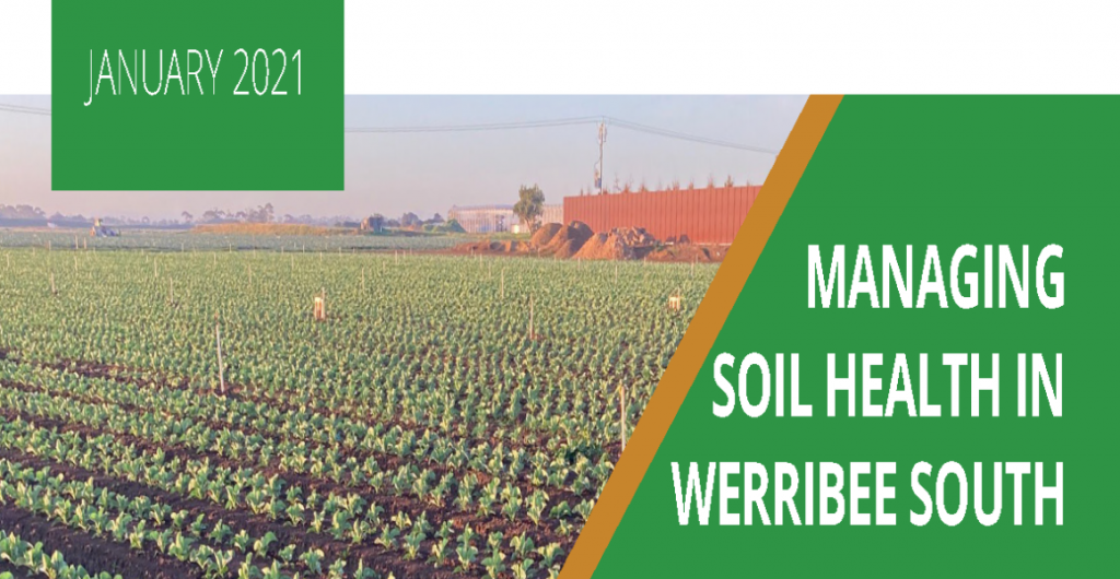 Case study: Managing soil health in Werribee South