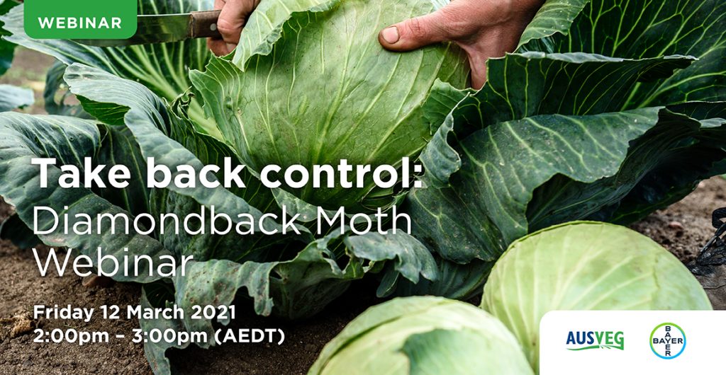 Take back control: Diamondback moth webinar