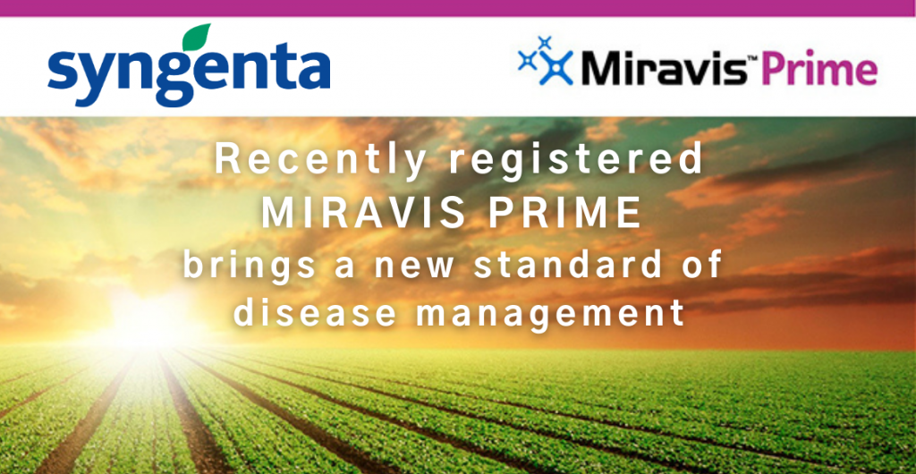 Enter Syngenta’s competition to win!