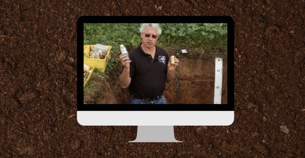 Webinar recording: Soil organic matter, biology & mineralisation – the challenges & complexity of estimating mineralisation rates