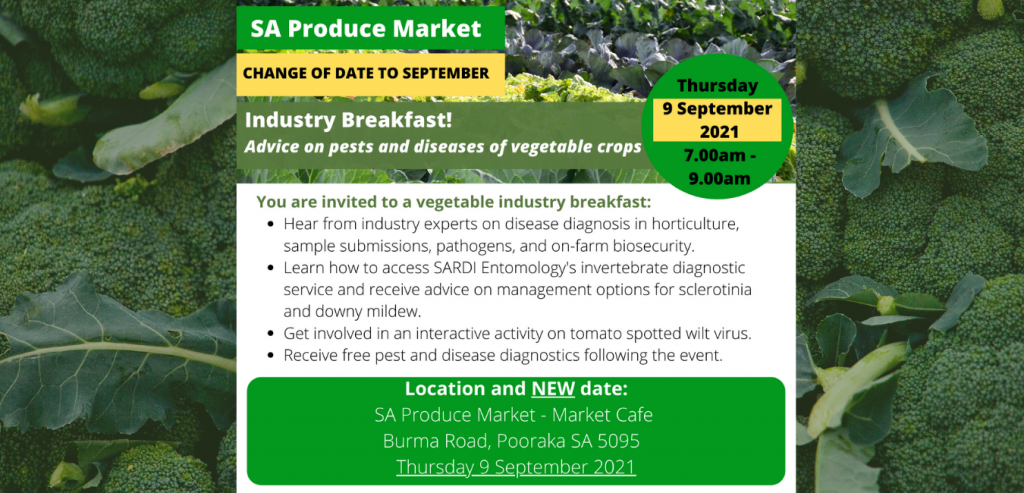 Join us for a vegetable industry pest & disease management breakfast at the South Australian Produce Market