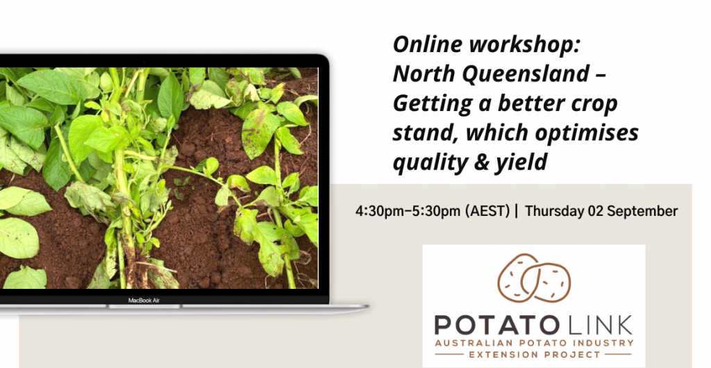Online workshop: North Queensland – Getting a better crop stand, which optimises quality & yield