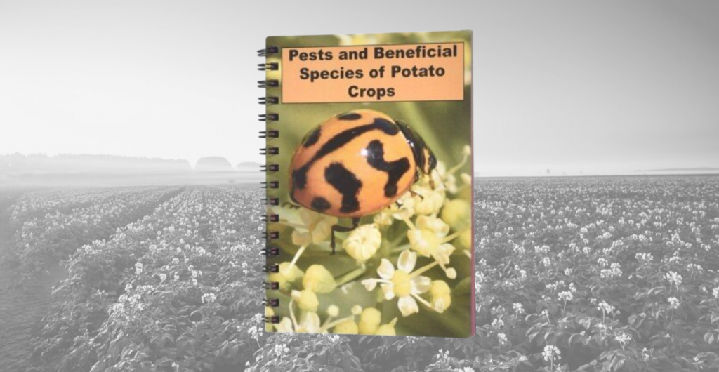 Webinar: Controlling Pests in Potatoes