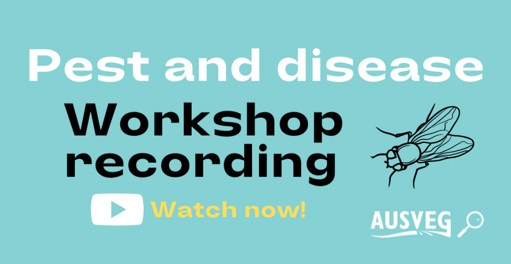 Watch: Pest & disease workshop recordings on the AUSVEG YouTube channel