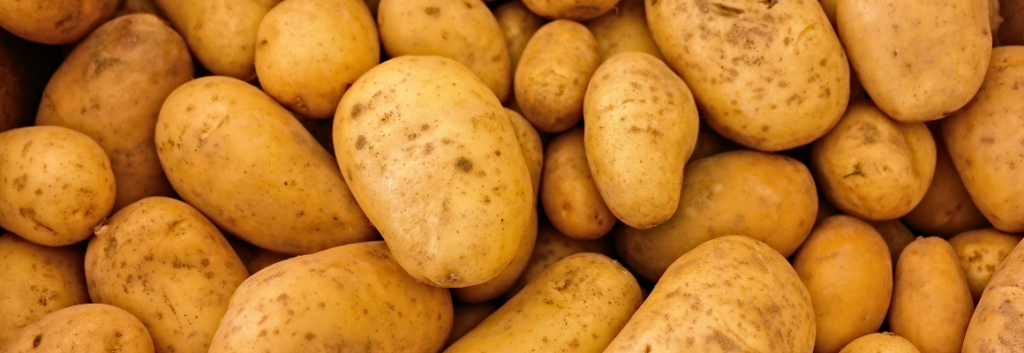 Managing salinity in potato production using biologicals and biostimulants