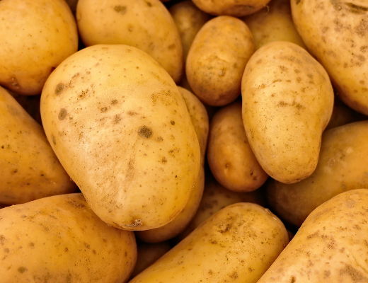 Managing salinity in potato production using biologicals and biostimulants