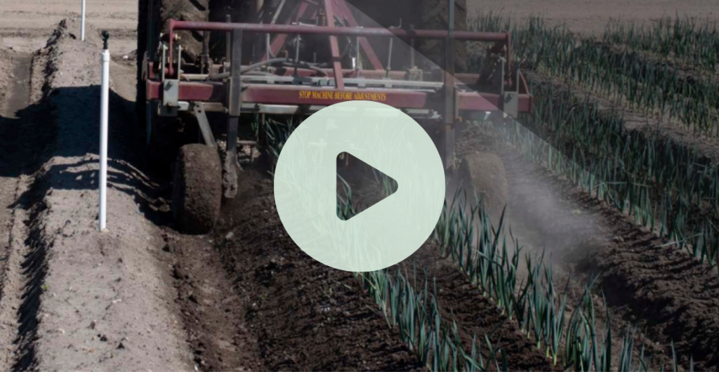 Video: Lessons from continued innovation in weed management in Clyde, VIC
