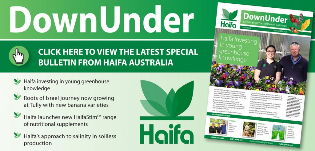 DownUnder: View the latest special bulletin from Haifa Australia