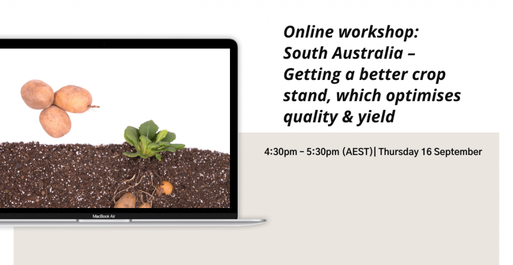 Online workshop: South Australia – Getting a better crop stand, which optimises quality & yield