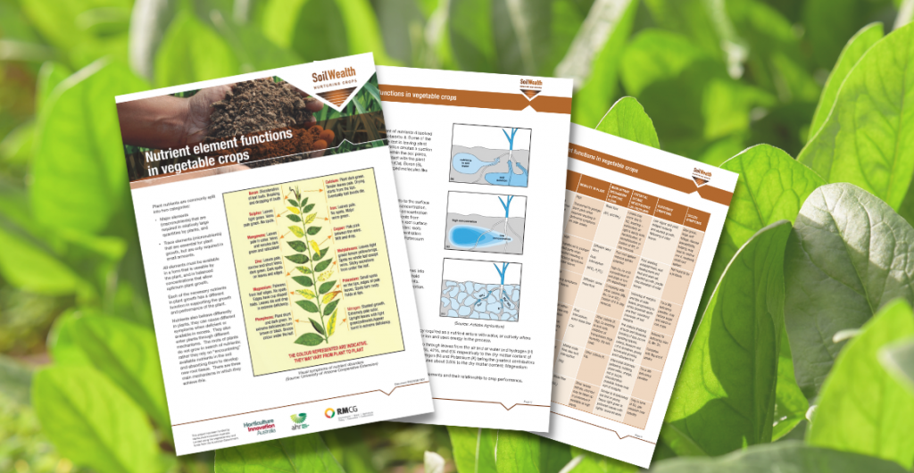 Fact sheet: Nutrient element functions in vegetable crops