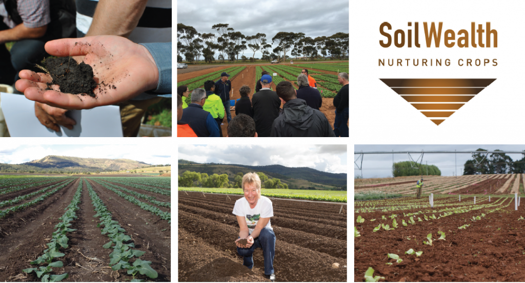 Guide to soil testing and interpretation for vegetable crops