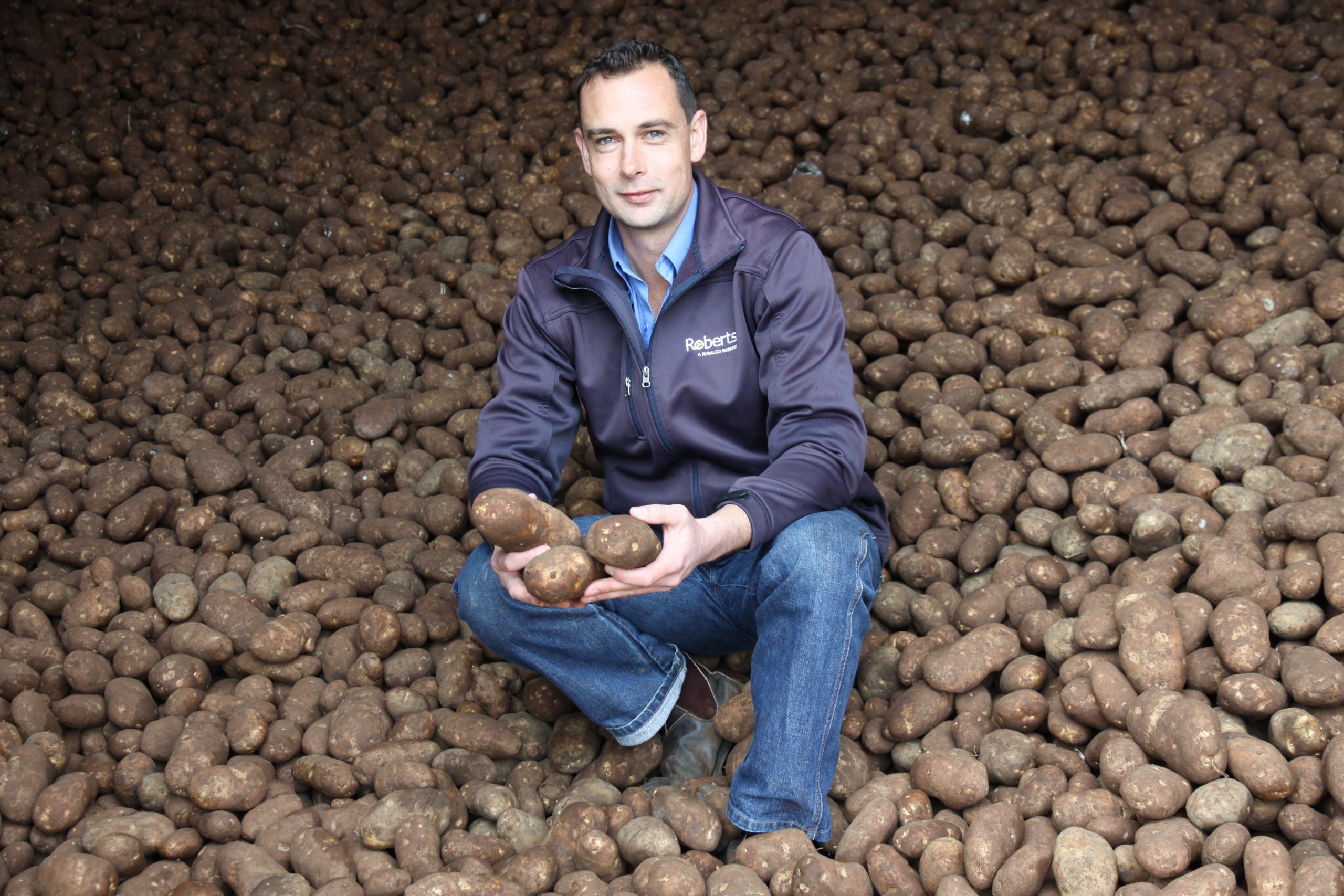 Relationships key to potato crop protection | AUSVEG