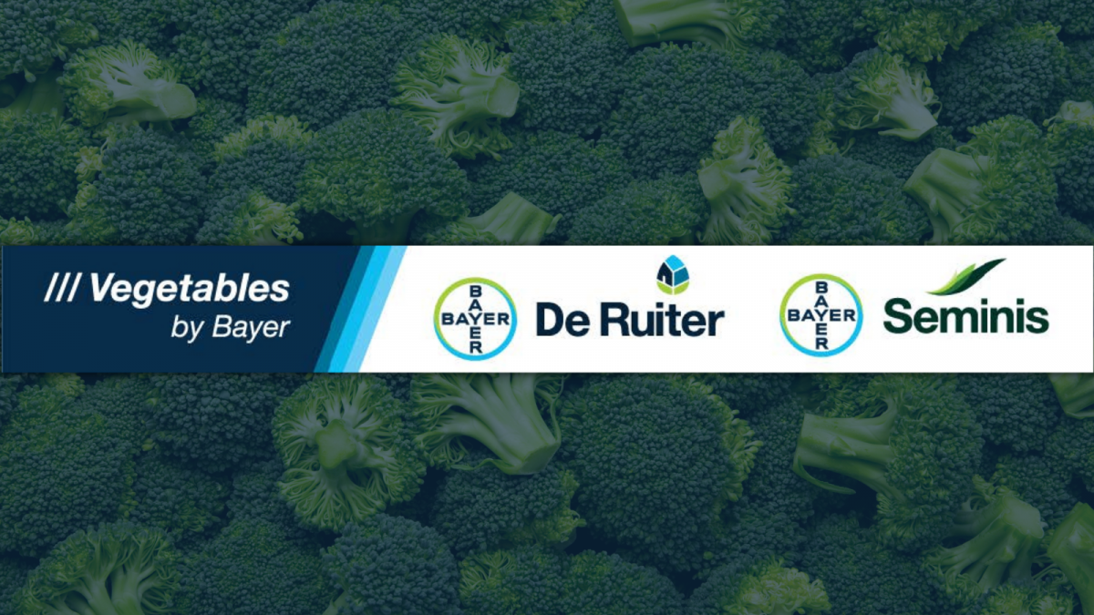 Bayer launches new 'Vegetables by Bayer' brand platform to reaffirm