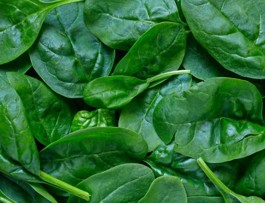AUSVEG statement on recall of Riviera Farms branded baby spinach products sold through Costco