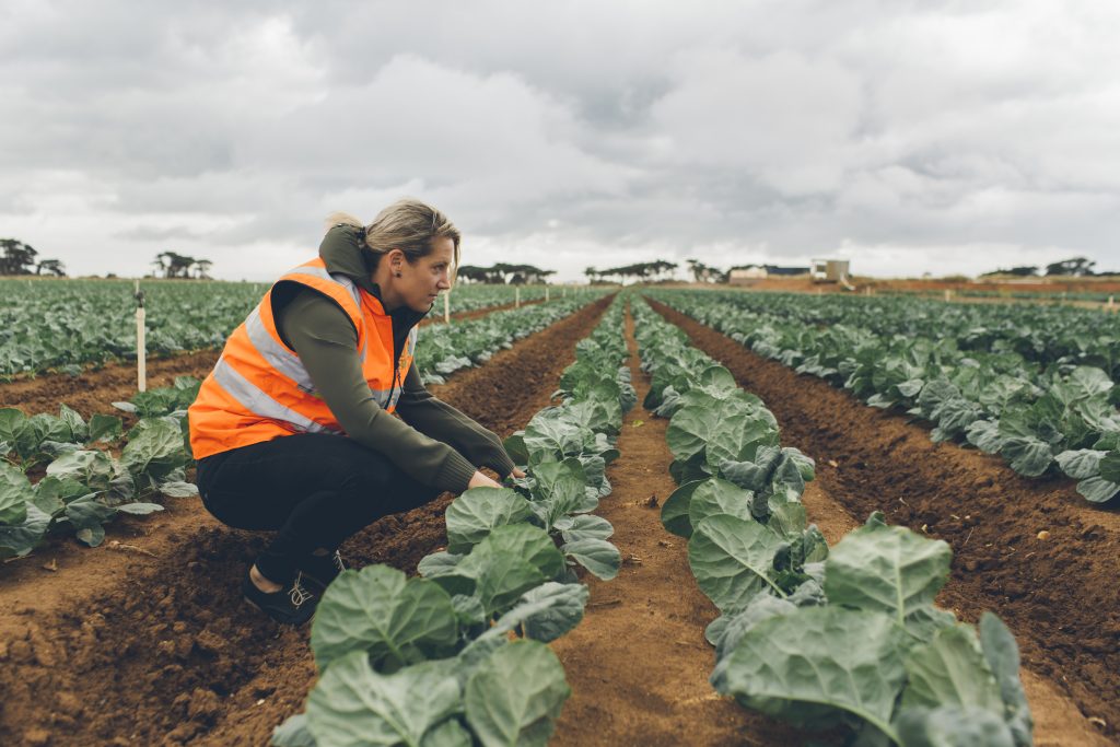 VEG helping industry to navigate the horticultural business world