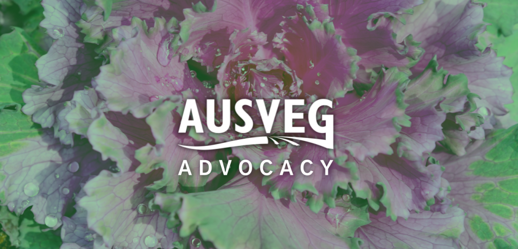 AUSVEG Advocacy Update – Friday 14 January 2022