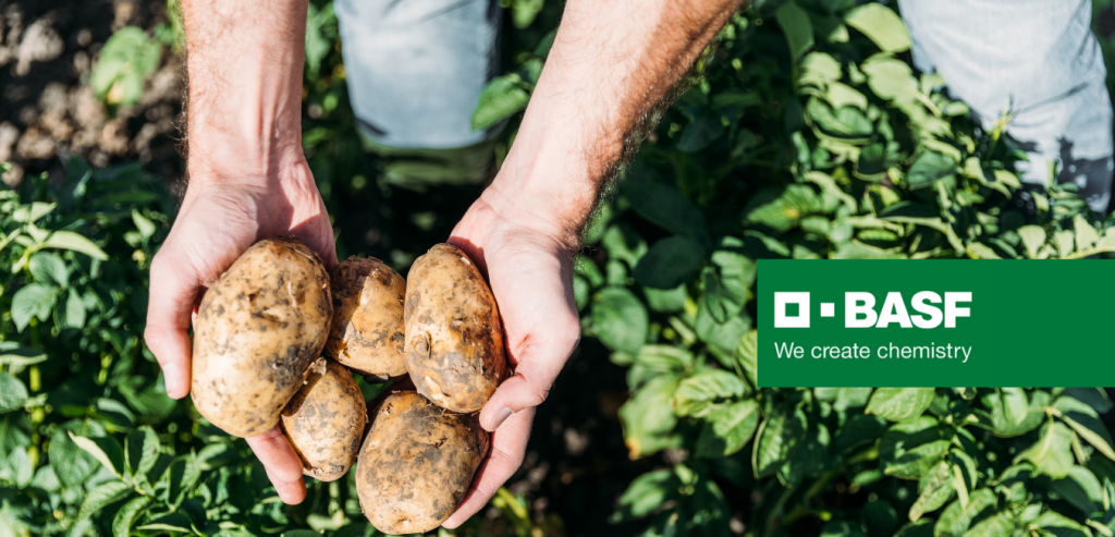 BASF continues close relationship with Australian vegetable industry