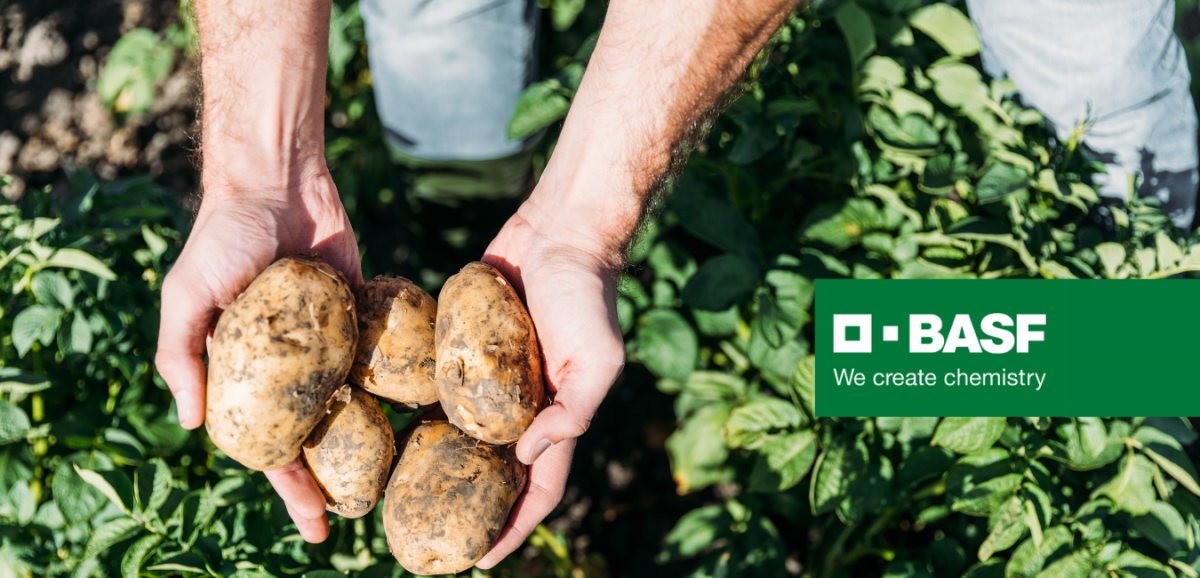 BASF Continues Close Relationship With Australian Vegetable Industry ...