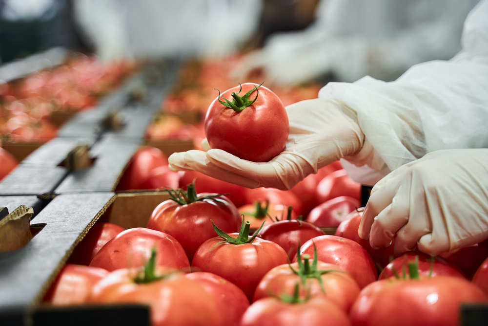 Fact sheet: Food defence for the fresh produce industry