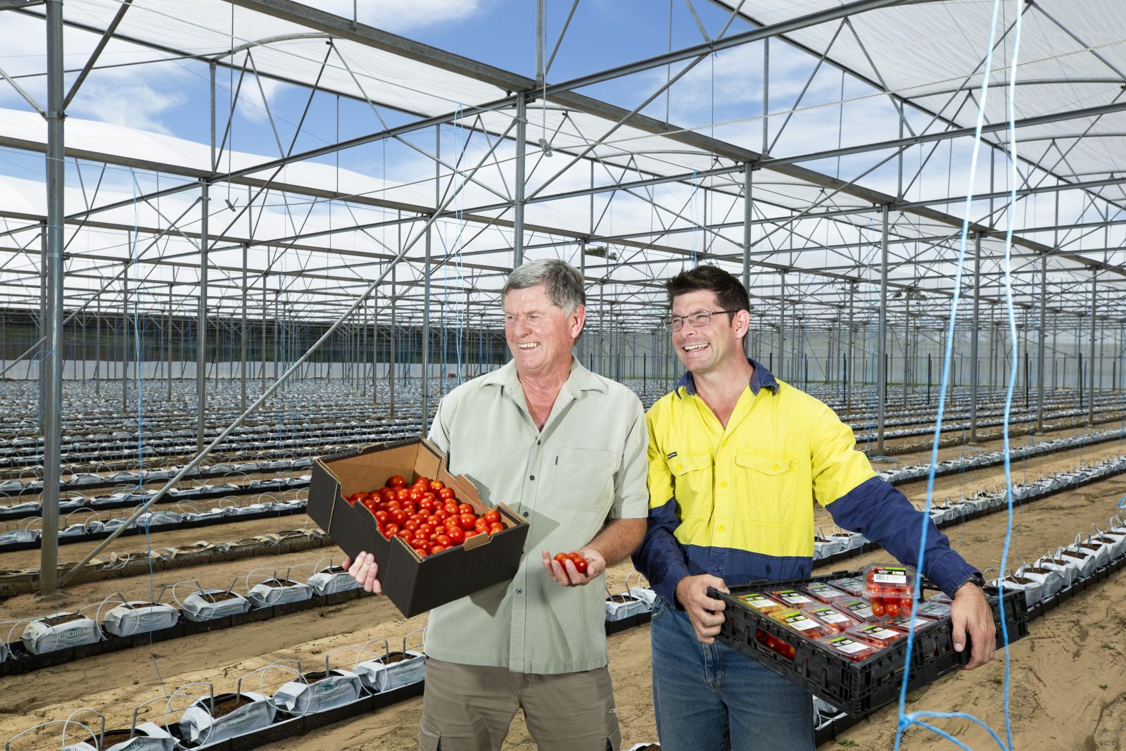 Driving innovation and sustainability in Australian fruit and veg