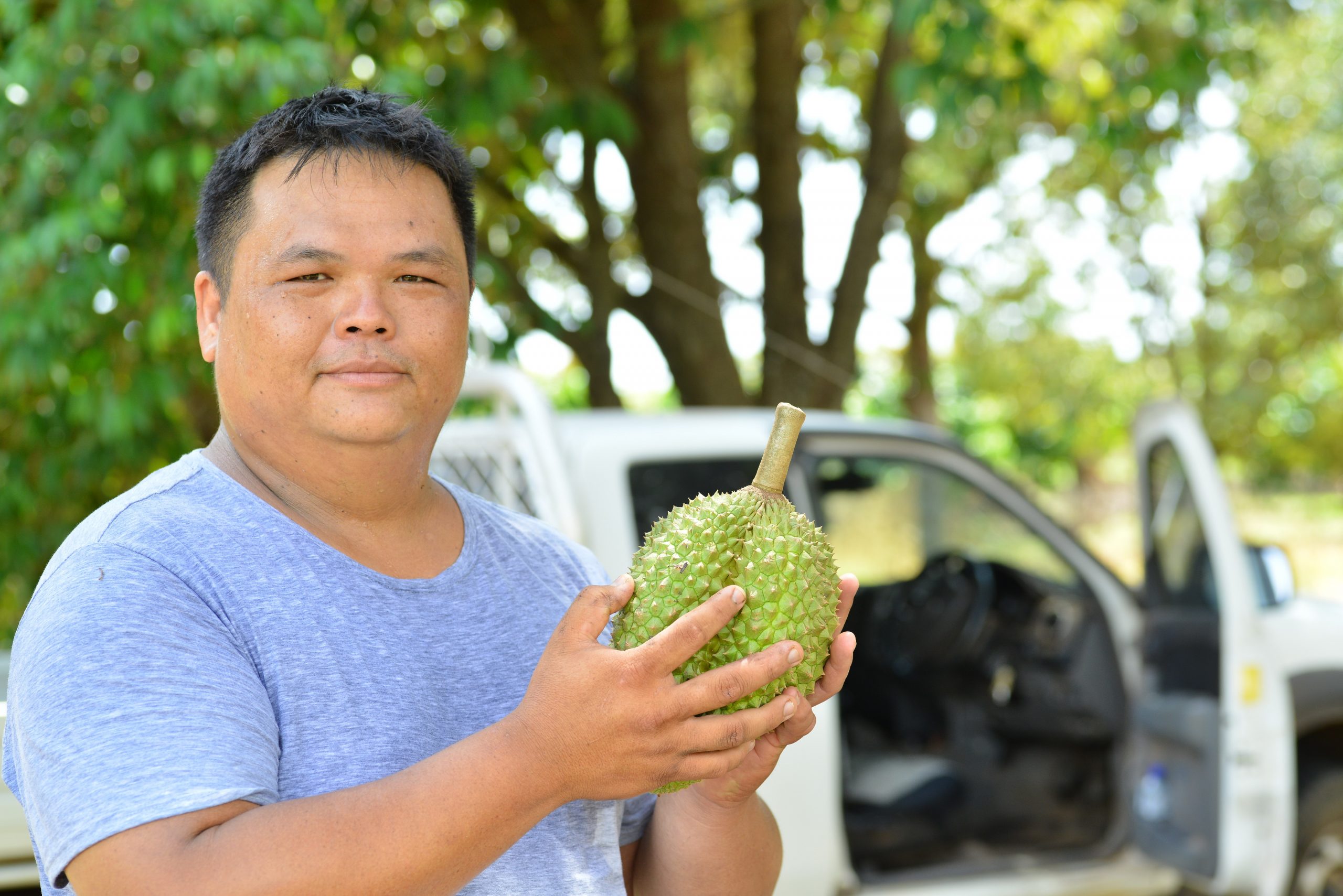 Han Shiong Siah: Building a successful tropical fruit growing operation ...